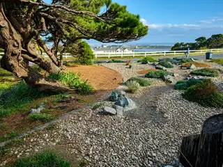 Coastal garden