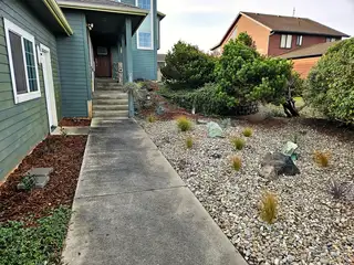 Coastal front yard